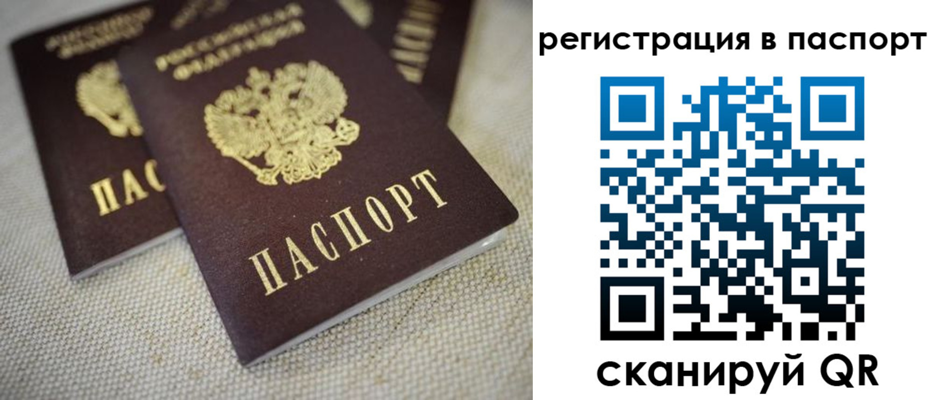 прописка гарантия в Рыбинске